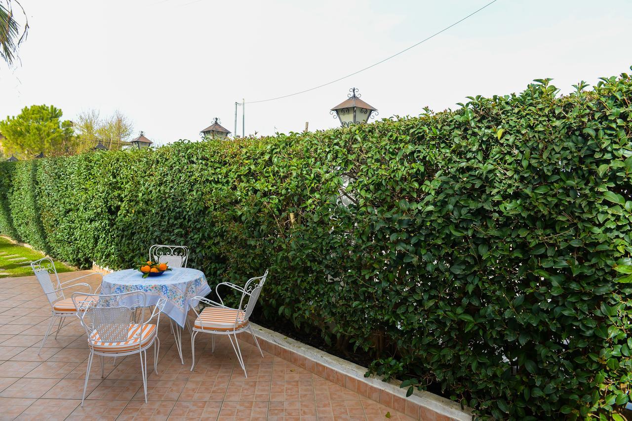 Patras Palm Tree Apartment Екстериор снимка