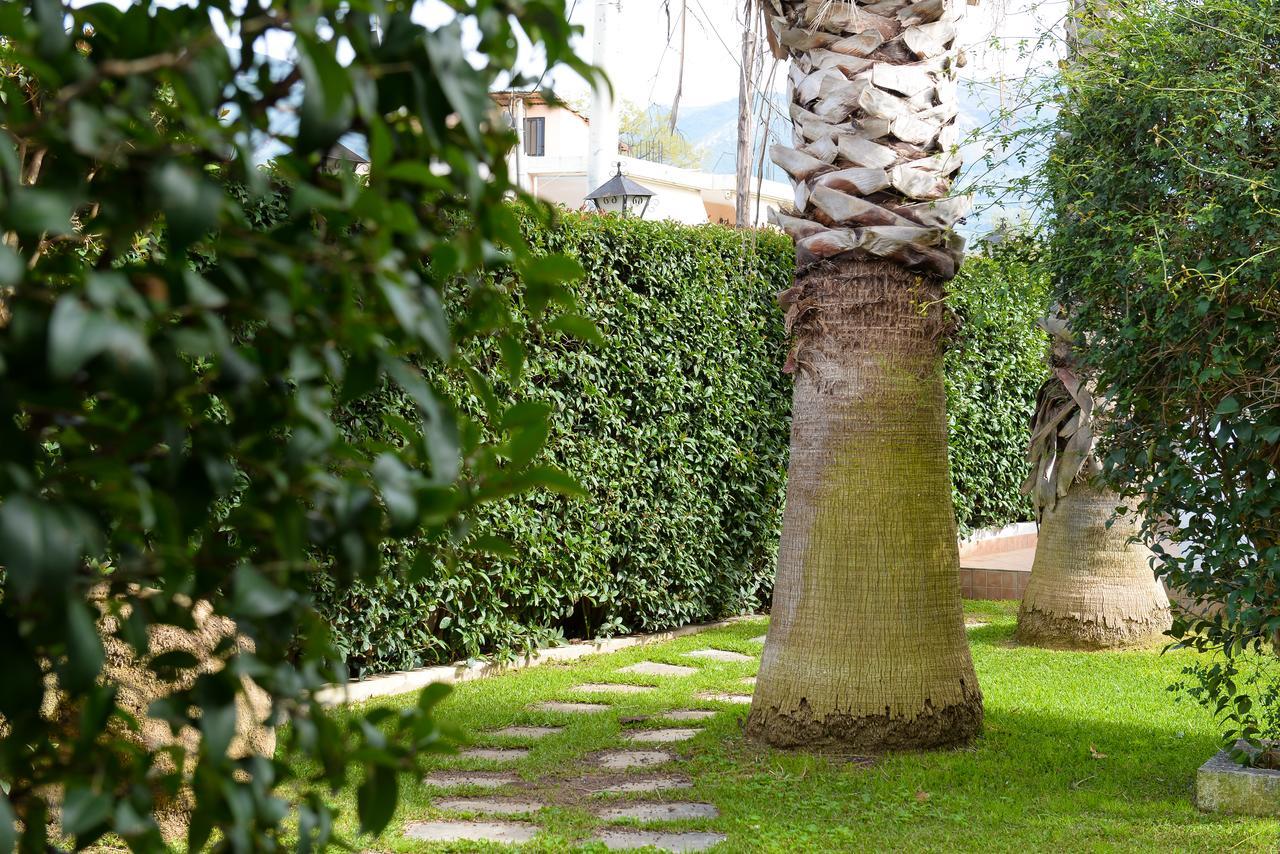 Patras Palm Tree Apartment Екстериор снимка